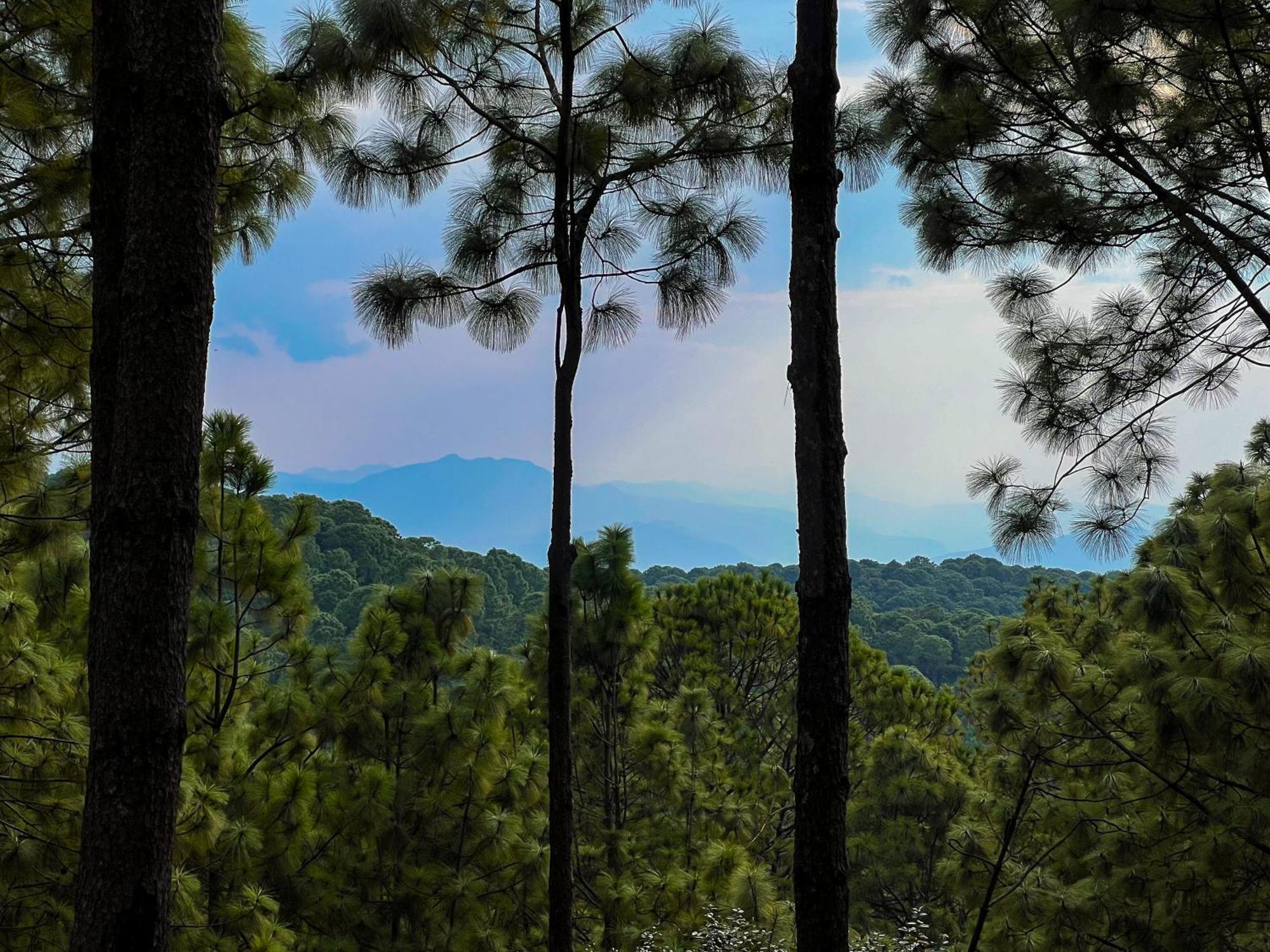 Tres Lunas Domo Mazamitla Bagian luar foto